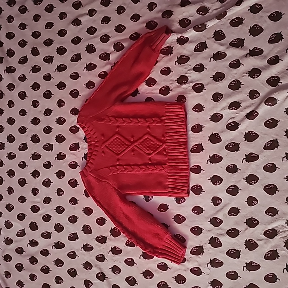 kids toddleer knit sweater